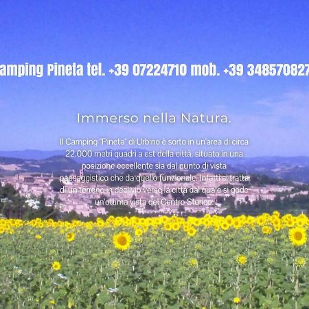 ホテルCamping Pineta ウルビーノ エクステリア 写真