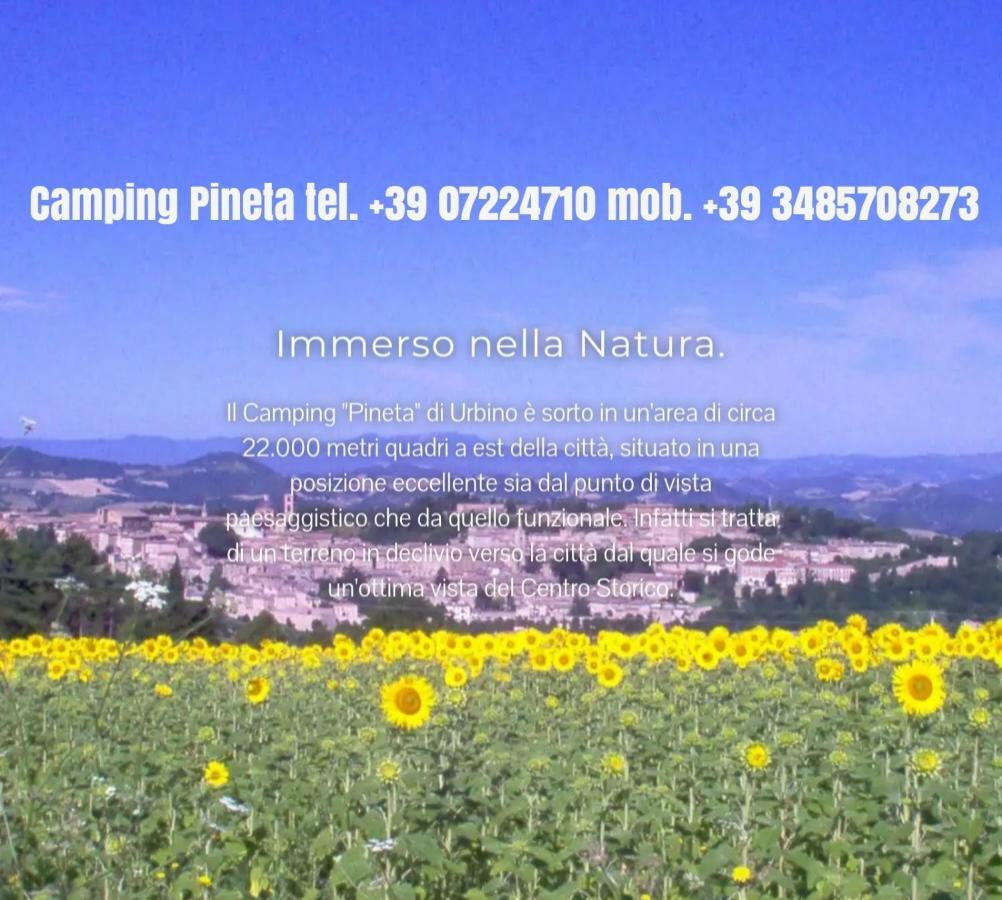 ホテルCamping Pineta ウルビーノ エクステリア 写真